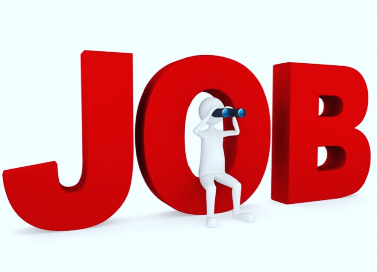 job.jpeg